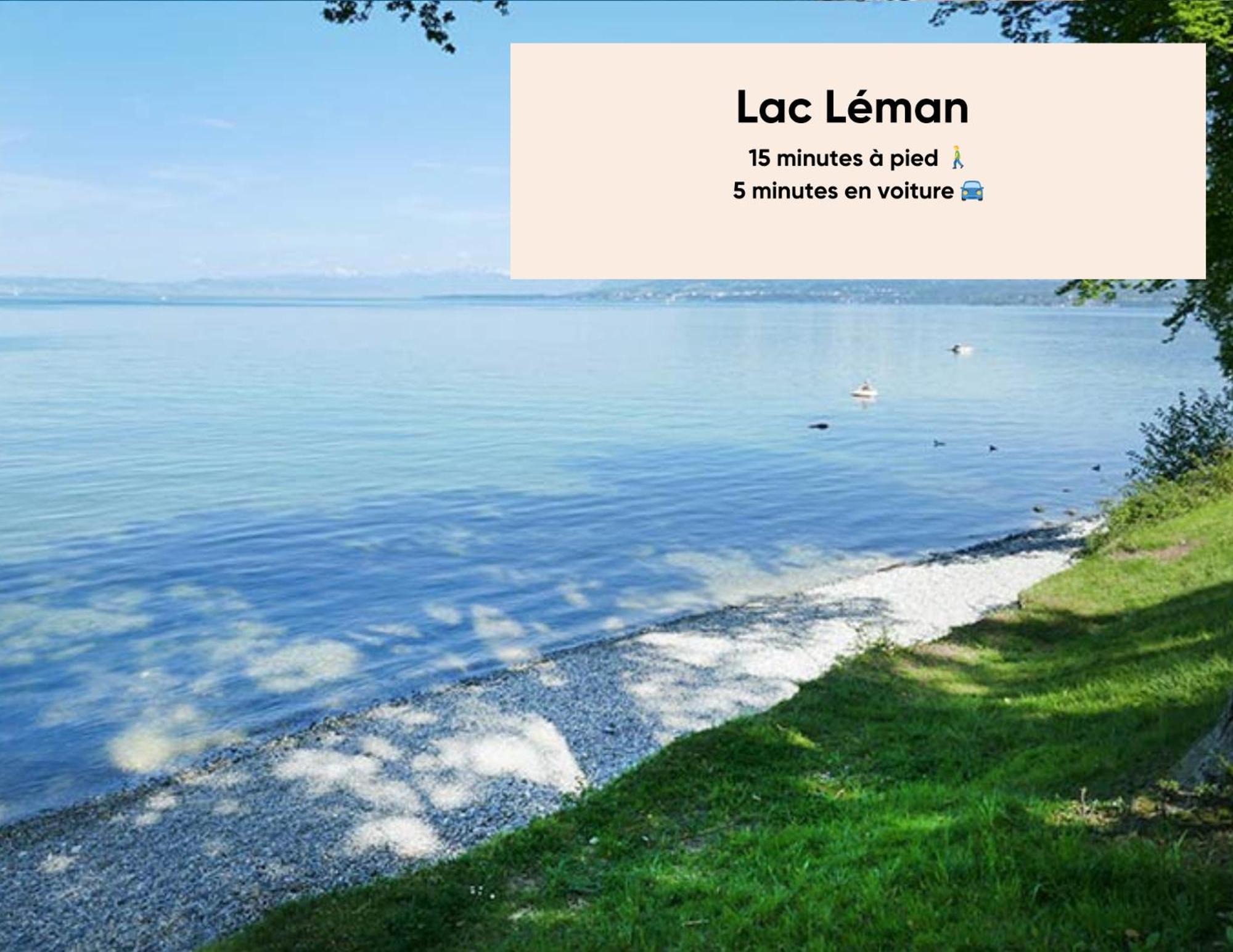 Cosy Et Moderne - Dent D'Oche Thonon-les-Bains Exterior foto
